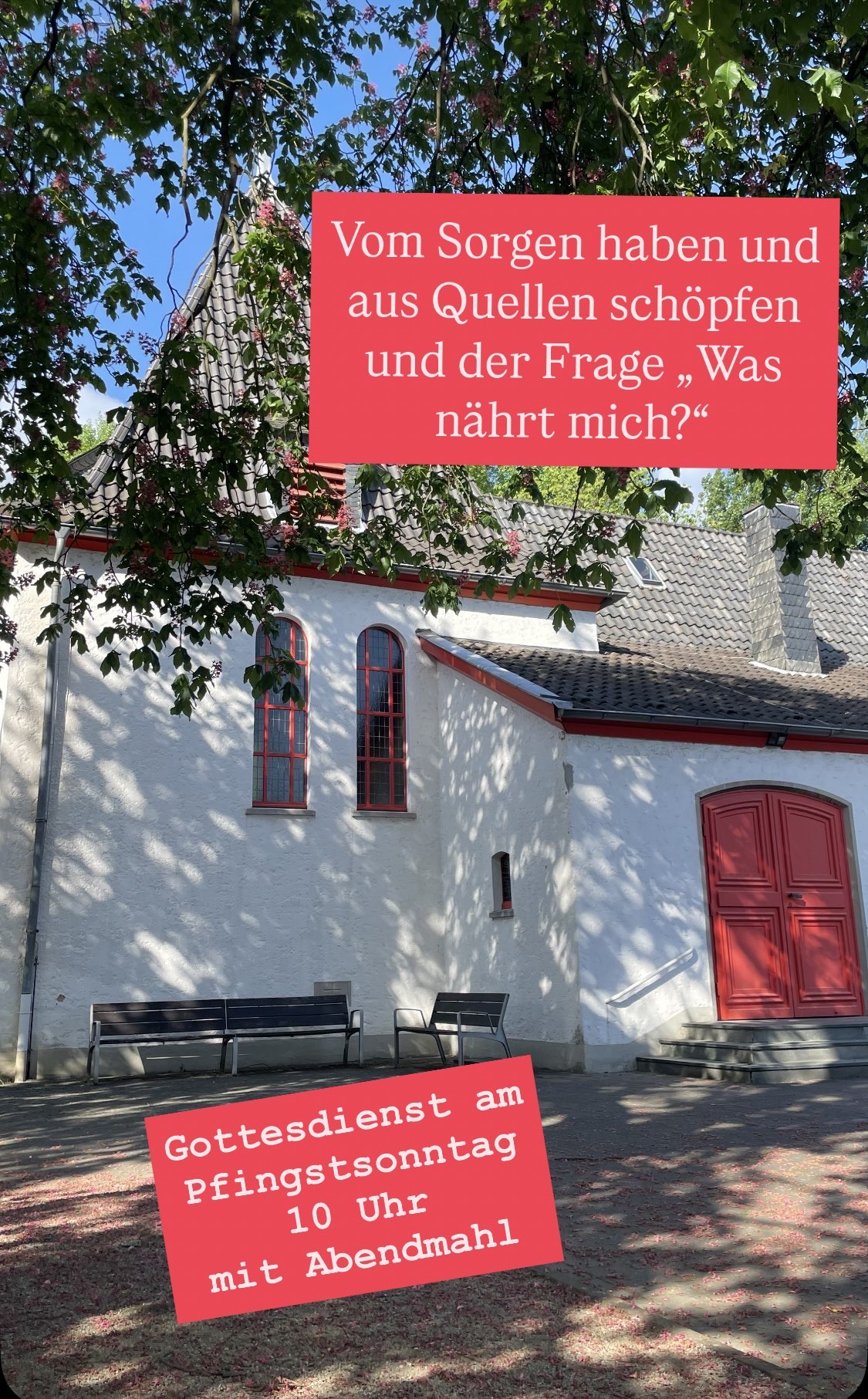 Mehr über den Artikel erfahren 